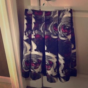 Express skirt